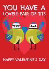 Funny Valentine's Day Card - Lovely Pair Of Tits created by AbiGoLucky