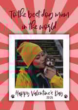 Personalised Valentines Day Photo Card created by The Merry Giraffe - Valentine’s Day Photo Card – Cute Dog Mum Card – From the Dog