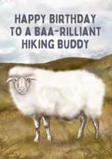 Cute Birthday Card - Hiking Buddy - Sheep created by Hello Fridays Studio
