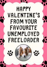 Personalised Valentines Day Photo Card created by Sundiva Designs - Funny Valentine's Day Card - Unemployed Freeloader - From The Pet