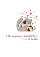Humorous love-themed card for a partner / significant other - you are wonderful created by Dandelion Stationery