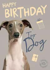 Cute Birthday Card - Top Dog  - Battersea Charity created by Cardology