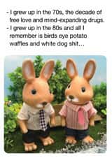Funny Nostalgia Card – 70s 80s – Potato Waffles Dog Shit created by Brainbox Candy