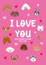 Funny dog valentines card created by Xoxo Designs by Ruth