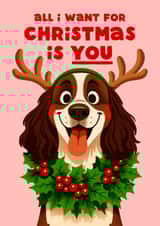 Cute Christmas Card - All I Want Is You - Reindeer Dog created by Folio | Ian Owen