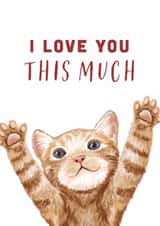Cute Cat 'I Love You This Much' Valentine's Day/Anniversary Card created by Debbie Daley Illustrations