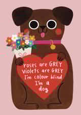 Funny Valentine's Day Card - From The Dog - I'm Colour Blind created by Alice Mole Illustration