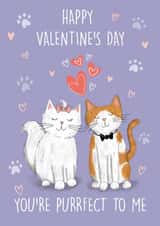 Cute Cat Couple Valentine's Day Card for Significant Other created by Holly Bushnell Illustration