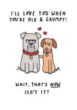I'll Love You When You're Old And Grumpy. Funny Anniversary or Valentine's Card created by mungo and shoddy