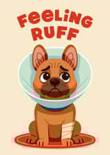 Cute Get Well Card - Feeling Ruff - Dog created by Folio | Ian Owen
