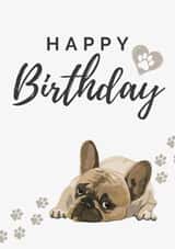 Dog Happy Birthday created by House of Aurora