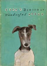 Dog in jumper - Birthday card - whippet - greyhound - lurcher created by Greyling Post