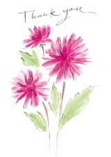 Pretty Thank You Card - Pink Dahlias created by Gabrielle Solly Illustration