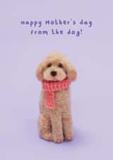 Cute Mother's day card - Needlefelt dog - Happy Motther's day from the dog! created by Lemon and Sugar 