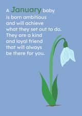 January Born Birthday Card With Birth Flower created by Kelly The Poet