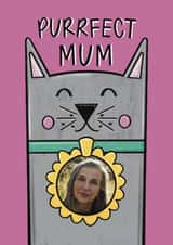 Personalised Mothers Day Photo Card created by Muses & May  - Cute Mother's Day Card - Greyr Cat - Purrfect Mum