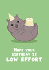 Funny Birthday Card – Wombat – Low Effort Birthday – Cute Animal Illustration created by @Cupsie's Creations