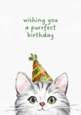 Cute Birthday Card - Cat - Purrfect Birthday - Pun created by BYANIKA