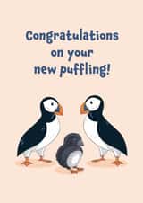 Cute Puffin New Baby Card - Congratulations On Your New Puffling created by Fox & Finch