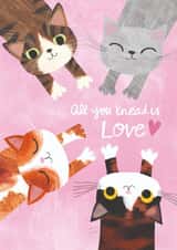 Cute Valentine's Day Card - All You Knead Is Love - Cats created by Ohh Deer