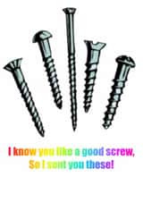 Screws! created by Bold DeeZinz