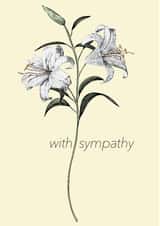 With Sympathy Card - White Lily Sympathy Card - Hand Drawn Art Card created by Oliver Stockley