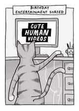 Funny Birthday Card - Cat - Birthday Entertainment Sorted - Cute Human Videos created by Running with Scissors