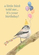 A Little Bird Told Me It’s Your Birthday – Cute Bird & Balloons Card created by Jen Winnett