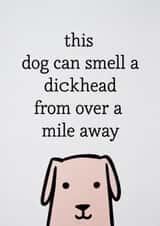 Rude Funny Dog Card - Can Smell a Dickhead From a Mile Away created by Cairn Newton