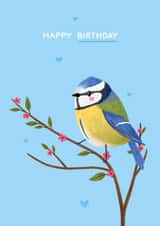 Traditional Birthday Card - Blue Tit created by Blue Kiwi Design