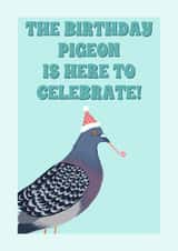 Birthday Pigeon - Party hat on pigeon - funny cute bird card - for bird lover created by Suzanne Taktak