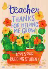 Classic Thank You Card - For Teacher - Budding Student created by Nicola B Studio