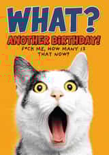 Funny Cat Rude Birthday Card created by Ged Backland