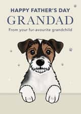 Cute Father's Day Card - For Grandad - Jack Russell created by Choo Choo 