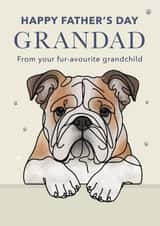 Cute Father's Day Card - For Grandad - Bulldog created by Choo Choo 