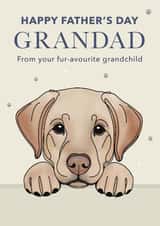 Cute Father's Day Card - For Grandad - Labrador created by Choo Choo 