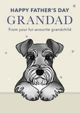 Cute Father's Day Card - For Grandad - Schnauzer created by Choo Choo 