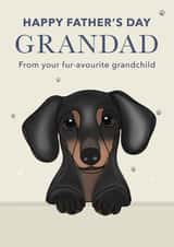 Cute Father's Day Card - For Grandad - Dachshund created by Choo Choo 