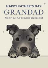 Cute Father's Day Card - For Grandad - Staffordshire Terrier created by Choo Choo