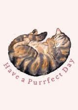 The purrrrfect card for a brown tabby cat lover, from you or from the cat! created by Amy Holliday
