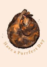 Cute Birthday Card - Tortoiseshell Cat created by Amy Holliday