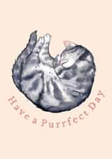 The purrrrfect card for a grey tabby cat lover, from you or from the cat! created by Amy Holliday