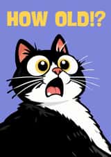 Funny Birthday Card for a cat loving friend or relative created by Charlo
