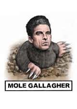 Funny Birthday Card - Mole Gallagher - Celebrity Pun created by Quite Good Cards