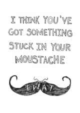 Rude Funny Card - Something Stuck In Your Moustache - Tash created by Quite Good Cards