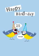 Funny Birthday Blue Tit Card, Happy Bird-day, You Look Like a Tit! created by Alexia Mickleburgh