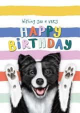 Funny Birthday Card - Border Collie - From The Dog created by badgerbee design
