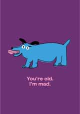Funny Birthday Card for Friend – Barking Dog “You’re Old. I’m Mad!” created by Seekprint