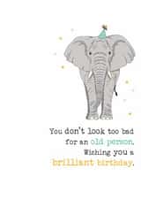Cheeky Birthday Card - Don't Look Too Bad For An Old Person created by Dandelion Stationery