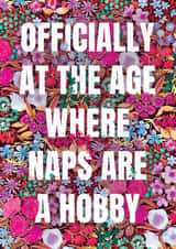 Funny Birthday Card - Naps Are A Hobby created by Making Meadows Ltd